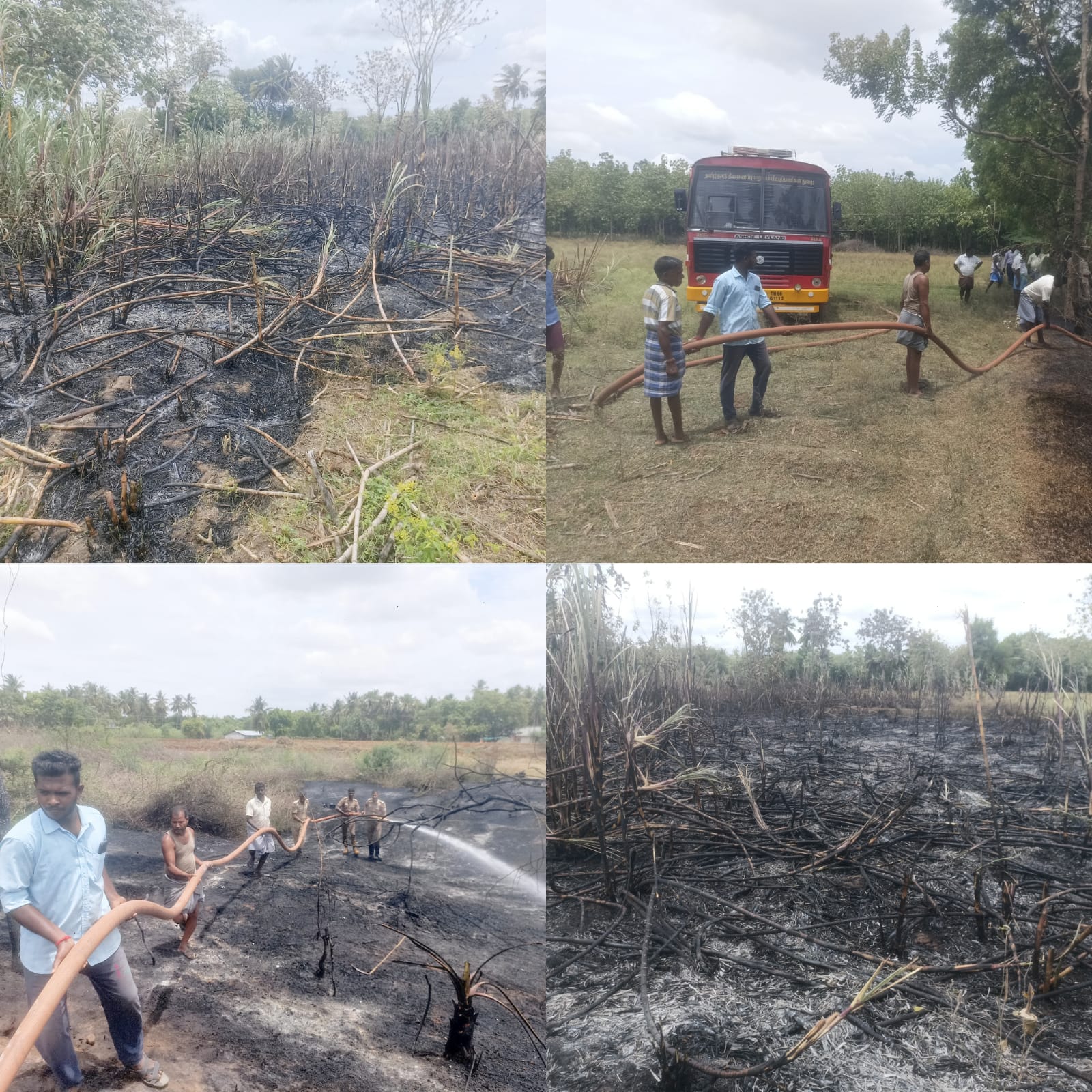   100 நாள் வேலை நடக்கும் இடத்தில் தீ; கருகிய கரும்புத் தோட்டம்-   விவசாயி குமுறல் ;-