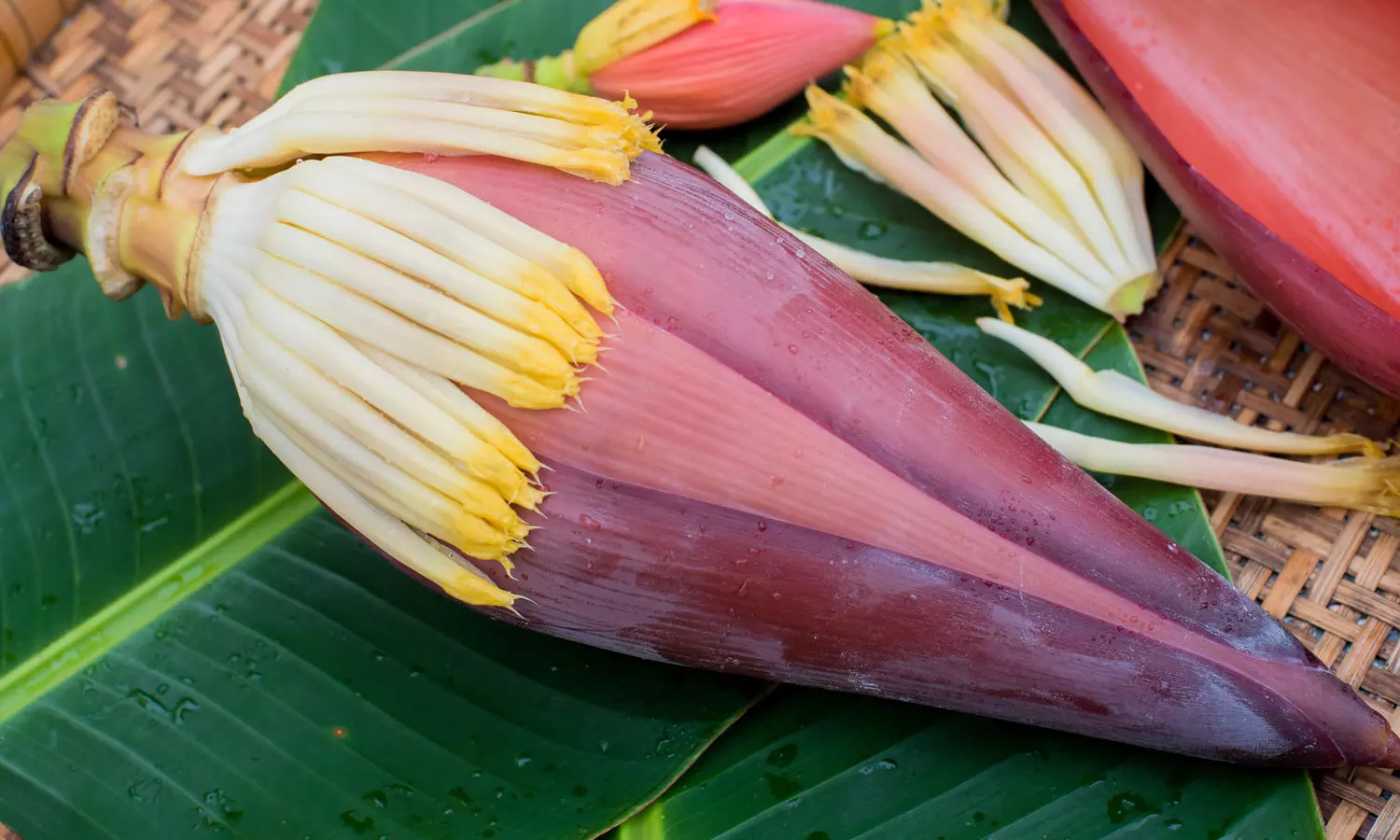 வாழ வைக்கும் பூ….,