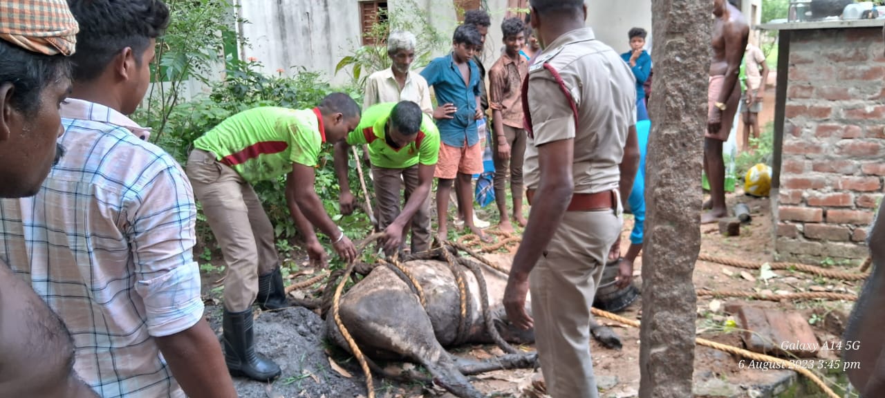 கிணற்றில் தவறி விழுந்த பசு மாடு மீட்ட  தீயணைப்பு துறையினருக்கு பொதுமக்கள் நன்றியும் பாராட்டியும் தெரிவித்தனர்.